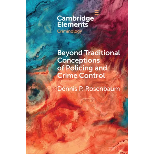 Beyond Traditional Conceptions of Policing and Crime Control - Paperback