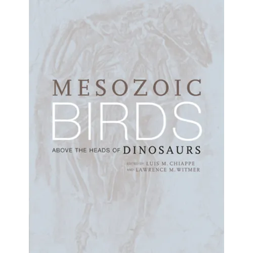 Mesozoic Birds: Above the Heads of Dinosaurs