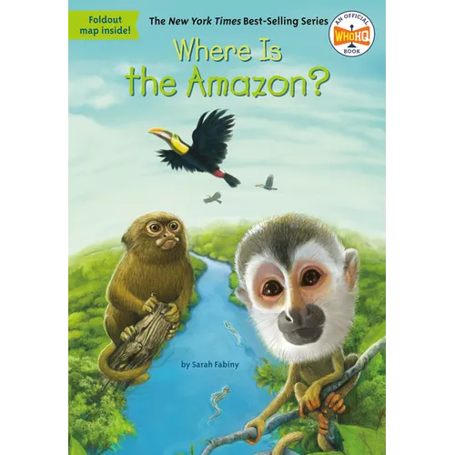 Where Is the Amazon?