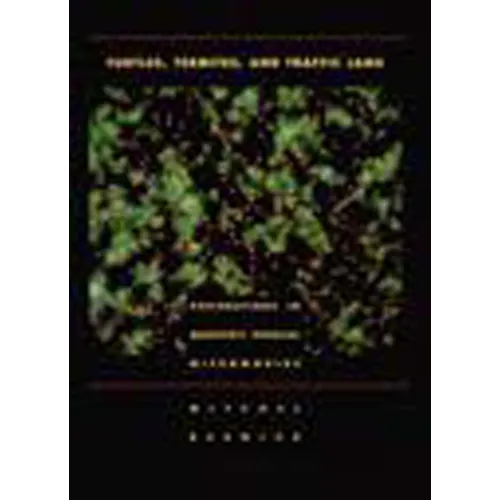 Turtles, Termites, and Traffic Jams: Explorations in Massively Parallel Microworlds