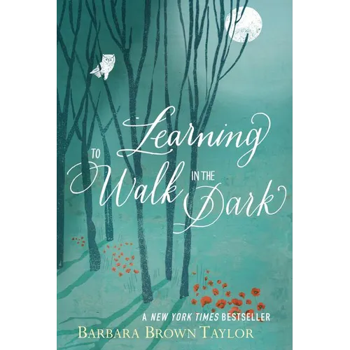 Learning to Walk in the Dark: Because Sometimes God Shows Up at Night