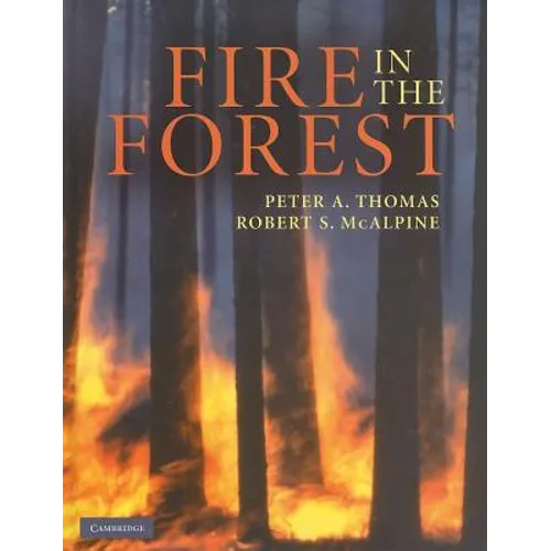 Fire in the Forest
