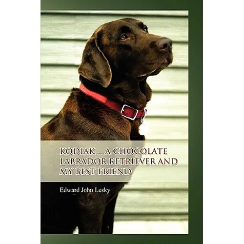 Kodiak ... A Chocolate Labrador Retriever and my best friend