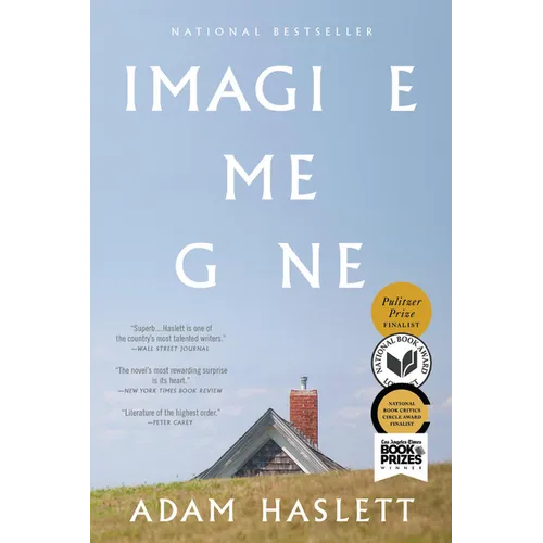 Imagine Me Gone