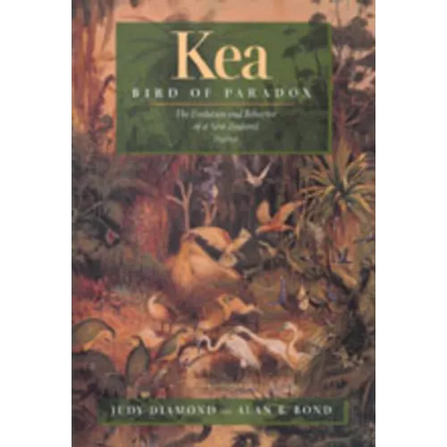 Kea, Bird of Paradox: The Evolution and Behavior of a New Zealand Parrot